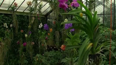 first of its kind institute to cultivate aspiring green thumbs first of its kind institute to cultivate aspiring green thumbs