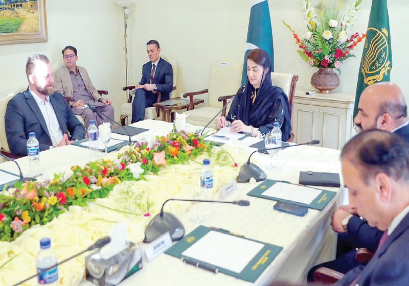 a delegation of the allied tech valley and google for education firms discusses digital education projects with punjab chief minister maryam nawaz photo nni