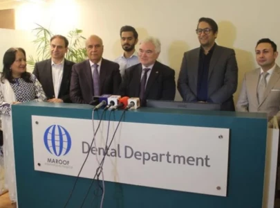 envoy for more german input in pakistani sectors envoy for more german input in pakistani sectors