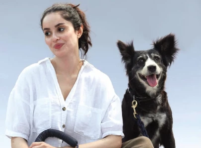 people love alsatians but throw acid on local dogs