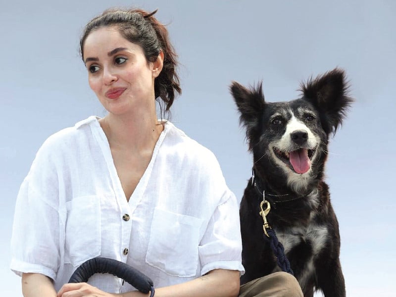 ayesha chundrigar candidly discussed the societal disregard for stray animals photo instagram