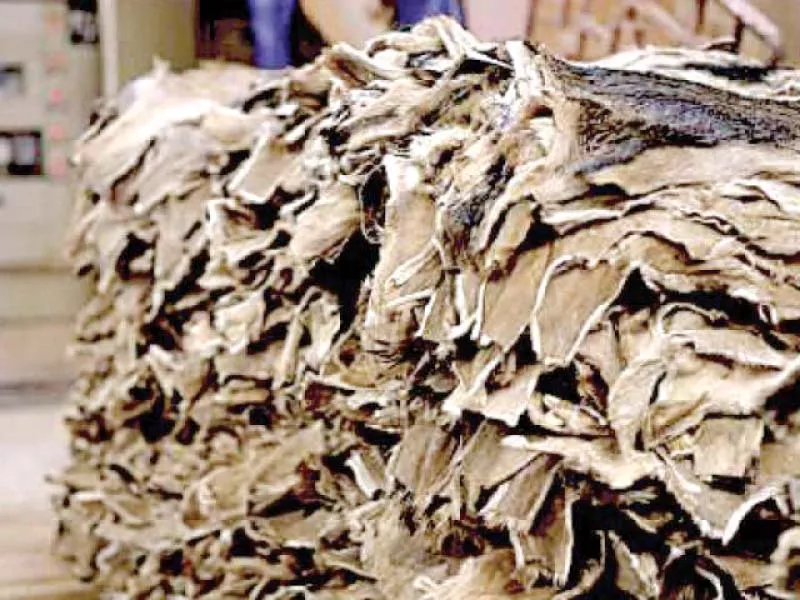 pta regional chairman azam malik asked the government to allow duty free import of raw and wet blue hides and skins tanning machinery accessories photo reuters pta regional chairman azam malik asked the government to allow duty free import of raw and wet blue hides and skins tanning machinery accessories photo reuters