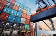 policy risks eat into export revenue policy risks eat into export revenue