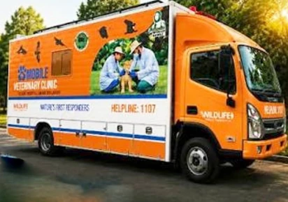 Medical staff preparing the mobile wildlife clinic for deployment