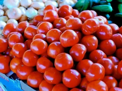 tomato potato prices skyrocket in peshawar