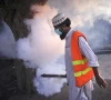 jobs of 2 000 dengue workers restored jobs of 2 000 dengue workers restored