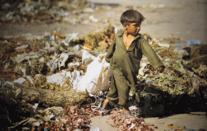 putting the people of pakistan on display putting the people of pakistan on display