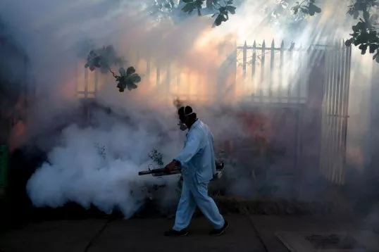 case specific fumigation is in the domain of the programme while general fumigation is the responsibility of the municipal corporations photo reuters case specific fumigation is in the domain of the programme while general fumigation is the responsibility of the municipal corporations photo reuters