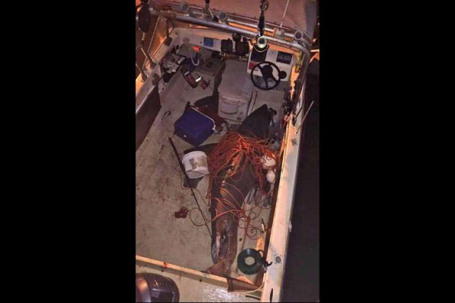 image of the great white shark that leapt into the boat of a 73 year old australian photo afp
