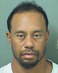 tiger woods apologises after dui arrest
