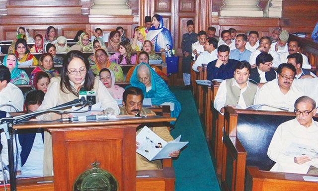 finance minister ayesha ghaus pasha photo inp