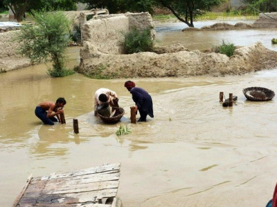 power up wwf and sngpl collaborate for cheap energy