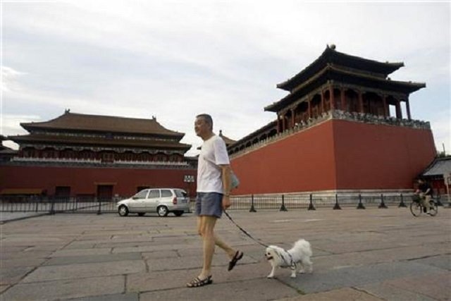 a resident walks his pet dog past the wumen gate at the forbidden city in beijing photo reuters