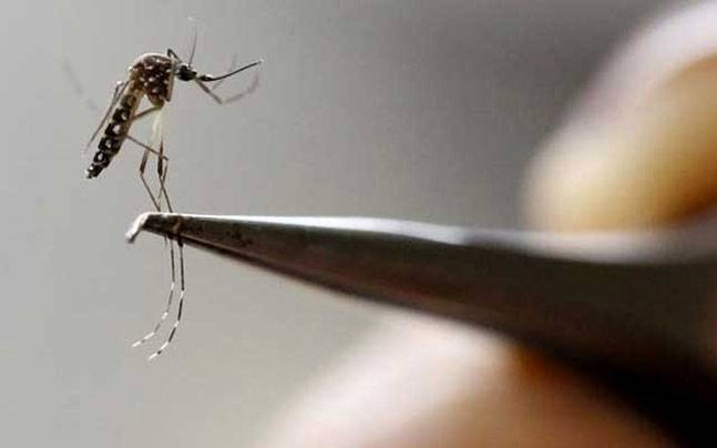 they are looking to produce a testing kit that would cost clinics and hospitals around 30 and take about 15 minutes to analyse blood samples for a key dengue protein photo reuters