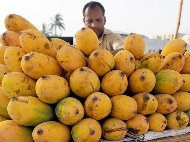 over 150 varieties of mamgoes were displayed at the festival photo mohammad noman express