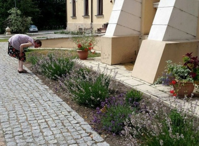 flower power gardening as therapy in poland