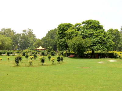 gatwala forest park losing charm visitors gatwala forest park losing charm visitors