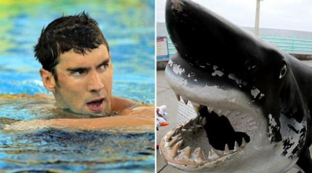 the event has been titled phelps vs shark great gold vs great white photo courtesy los angeles times the event has been titled phelps vs shark great gold vs great white photo courtesy los angeles times