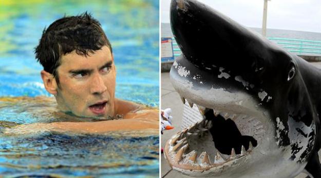 the event has been titled phelps vs shark great gold vs great white photo courtesy los angeles times