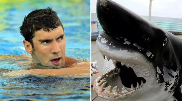 the event has been titled phelps vs shark great gold vs great white photo courtesy los angeles times the event has been titled phelps vs shark great gold vs great white photo courtesy los angeles times