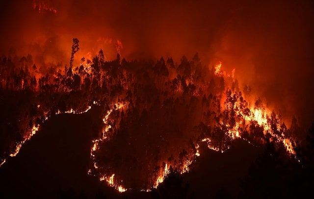a picture taken on june 18 2017 shows a forest in flames during a wildfire near the village of mega fundeira portugal declared three days of national mourning from june 18 2017 after the most deadly forest fire in its recent history raging through the centre of the country the fire which broke out june 17 2017 in the pedrogao grande district had killed at least 62 people and injured more than 50 according to the latest official update by sunday afternoon photo afp