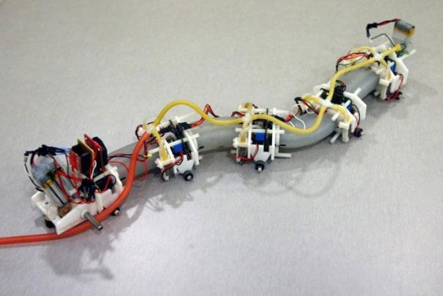 a soft robot designed in the form of a salamander is displayed in singapore june 5 2017 picture taken june 5 2017 photo reuters a soft robot designed in the form of a salamander is displayed in singapore june 5 2017 picture taken june 5 2017 photo reuters