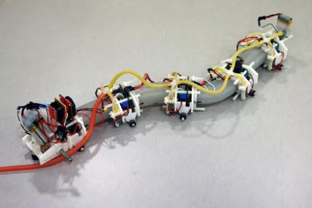 a soft robot designed in the form of a salamander is displayed in singapore june 5 2017 picture taken june 5 2017 photo reuters a soft robot designed in the form of a salamander is displayed in singapore june 5 2017 picture taken june 5 2017 photo reuters