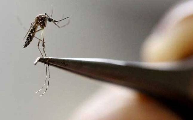 rain puts dengue control officials on alert in rawalpindi