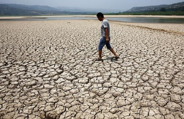 Photo of Heatwaves will make entire regions uninhabitable within decades: UN, Red Cross