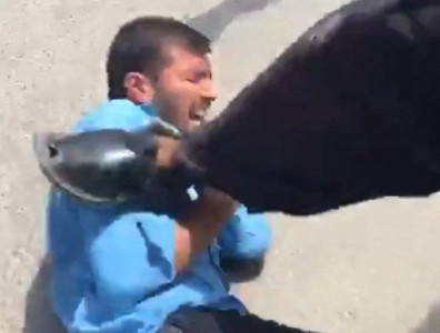 faisalabad university guards thrash media team covering students expulsion faisalabad university guards thrash media team covering students expulsion