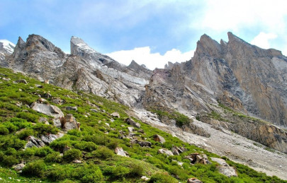 steering committee hopes to see a greener punjab steering committee hopes to see a greener punjab