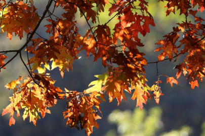 on a crisp autumn day