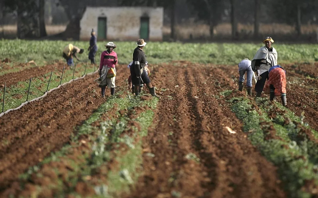 the initiative was established in 2012 and has so far helped connect some 200 000 farmers in 10 countries photo reuters the initiative was established in 2012 and has so far helped connect some 200 000 farmers in 10 countries photo reuters