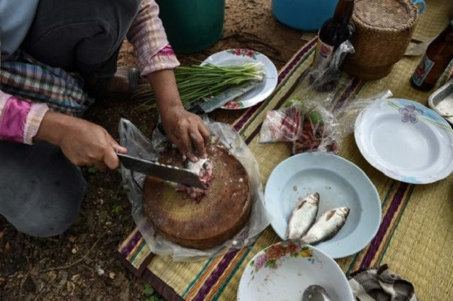 this photograph taken on may 20 2017 shows a farmer chopping fresh fish for lunch in the northeastern thai province of khon kaen millions of thais across the rural northeast regularly eat koi pla a local dish made of raw fish ground with spices and lime the pungent meal is quick cheap and tasty but it is also a favorite feast for parasites that cause a lethal liver cancer killing up to 20 000 thais annually photo afp this photograph taken on may 20 2017 shows a farmer chopping fresh fish for lunch in the northeastern thai province of khon kaen millions of thais across the rural northeast regularly eat koi pla a local dish made of raw fish ground with spices and lime the pungent meal is quick cheap and tasty but it is also a favorite feast for parasites that cause a lethal liver cancer killing up to 20 000 thais annually photo afp