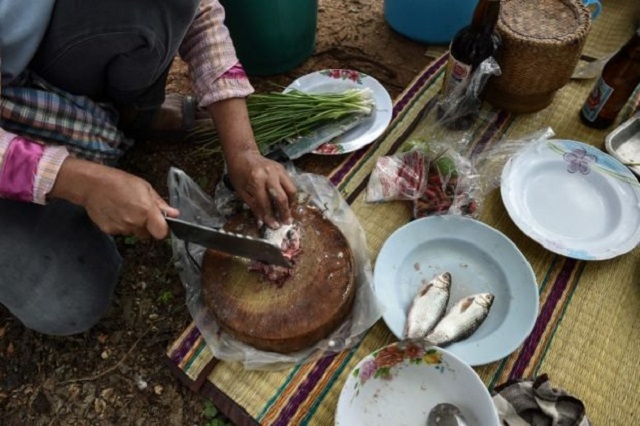 this photograph taken on may 20 2017 shows a farmer chopping fresh fish for lunch in the northeastern thai province of khon kaen millions of thais across the rural northeast regularly eat koi pla a local dish made of raw fish ground with spices and lime the pungent meal is quick cheap and tasty but it is also a favorite feast for parasites that cause a lethal liver cancer killing up to 20 000 thais annually photo afp