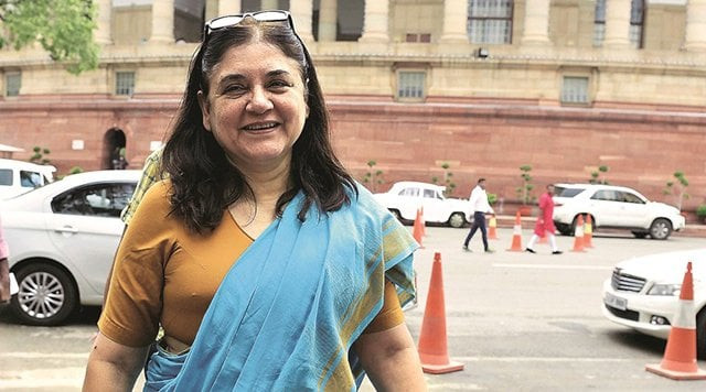 indian union minister manekha gandhi photo the hindustan express indian union minister manekha gandhi photo the hindustan express