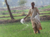 fake fertiliser network busted fake fertiliser network busted