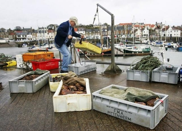 a fisherman unload a day 039 s catch of crab and lobsters at the harbour in anstruther scotland photo reuters a fisherman unload a day 039 s catch of crab and lobsters at the harbour in anstruther scotland photo reuters