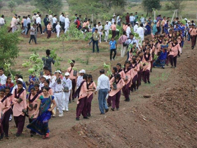 record breaking india plants 66 million trees in 12 hours record breaking india plants 66 million trees in 12 hours