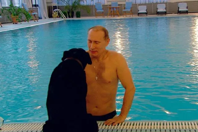 on a whole putin 039 s morning is characterised by solitude after reviewing a film of putin 039 s routine myers writes quot his closest companion seemed to be his black labrador koni who waited poolside as he completed his laps quot photo anorak on a whole putin 039 s morning is characterised by solitude after reviewing a film of putin 039 s routine myers writes quot his closest companion seemed to be his black labrador koni who waited poolside as he completed his laps quot photo anorak