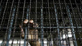 six alleged members of chinioti gang arrested