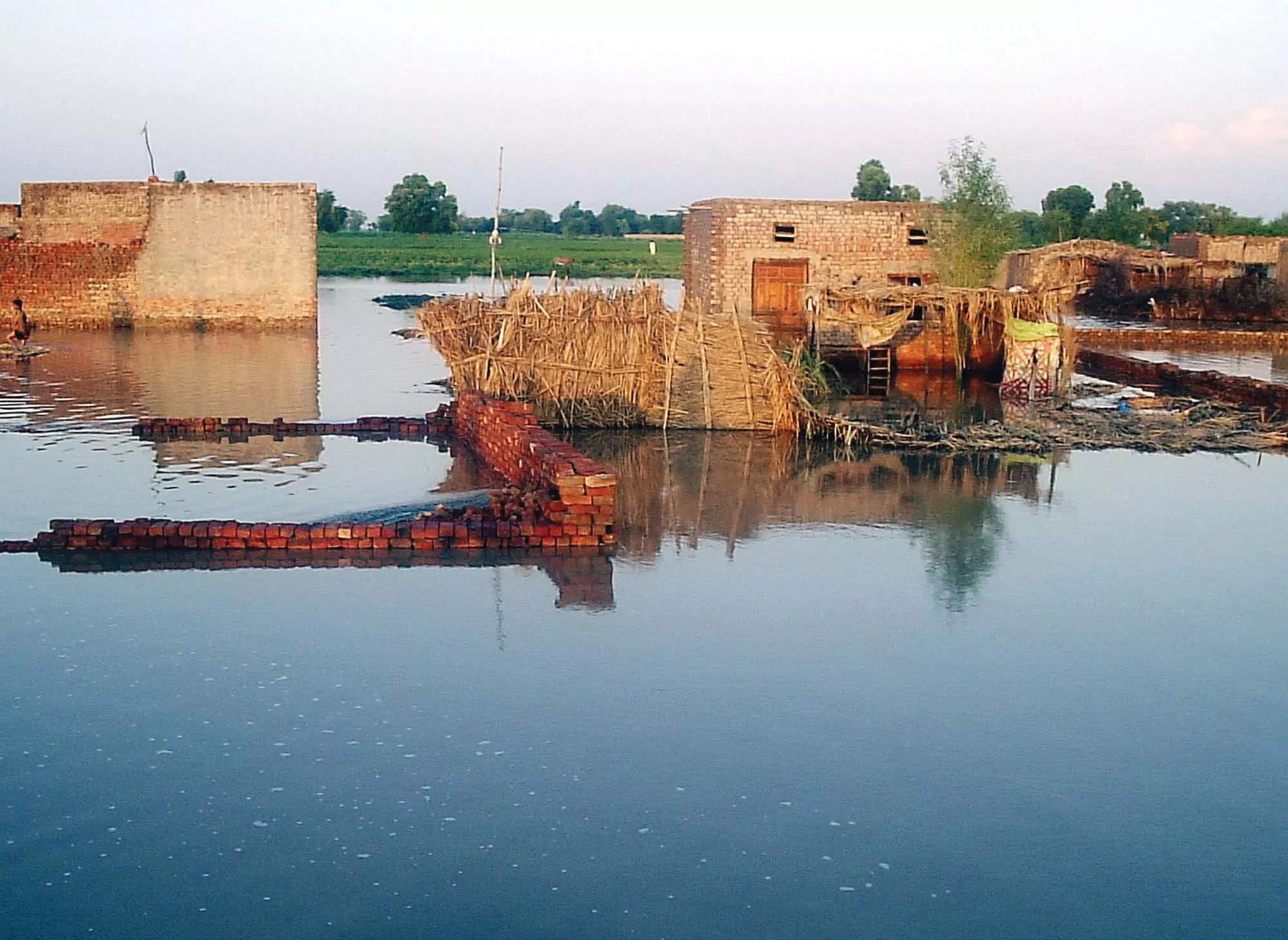 there will not be high level floods in k p this year says mian iftikhar photo ppi file there will not be high level floods in k p this year says mian iftikhar photo ppi file