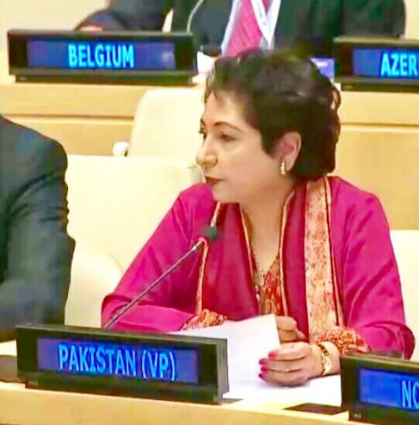 pakistan 039 s pemanent ambassador to the united nations maleeha lodhi photo courtesy twitter lodhimaleeha