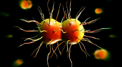 who warns of fast approaching spread of untreatable superbug gonorrhoea