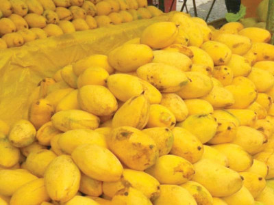 mango festival kicks off today in multan mango festival kicks off today in multan
