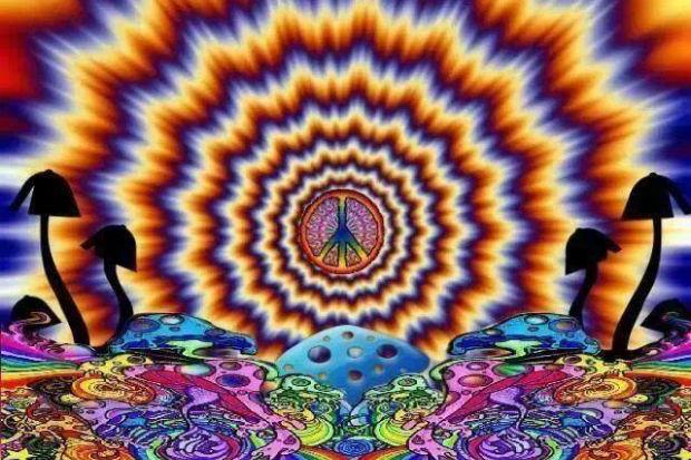 around two dozen religious leaders belonging to different sects or religions will be given two powerful doses of psilocybin which is an active ingredient in magic mushrooms photo file