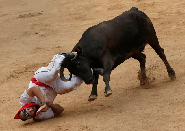 a reveller is tossed by a wild cow following the third running of the bulls at the san fermin festival in pamplona spain july 9 2017 photo reuters a reveller is tossed by a wild cow following the third running of the bulls at the san fermin festival in pamplona spain july 9 2017 photo reuters