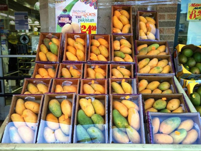 mangoes photo us consulate general karachi mangoes photo us consulate general karachi
