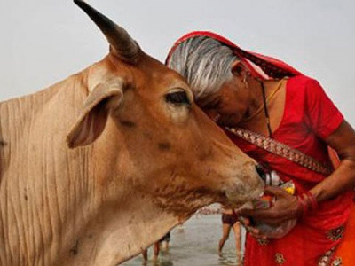 indian censors want cow hindu beeped in film