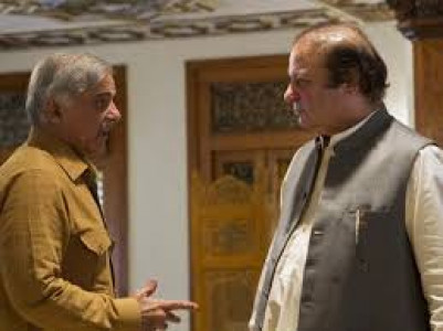 panamagate refrain from criticising sc bench punjab cm urges pml n leaders panamagate refrain from criticising sc bench punjab cm urges pml n leaders